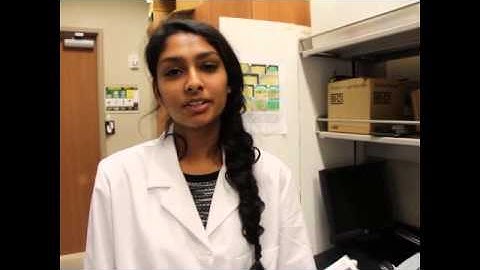 Undergraduate Research in Photonics, 2015