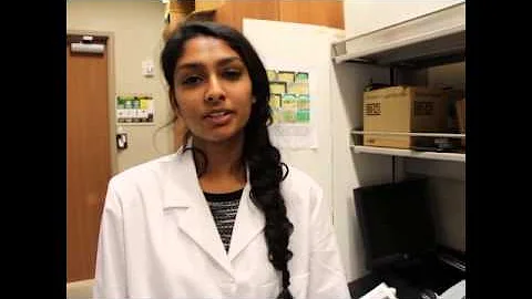 Undergraduate Research in Photonics, 2015