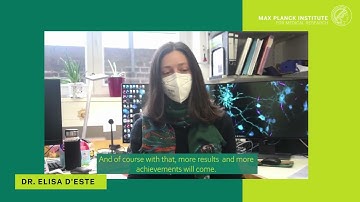 Choosing a project or lab - Elisa D