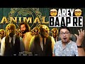 Animal movie review  yogi boltahai