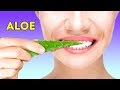 30 TRUCCHI INGEGNOSI CON L’ALOE VERA