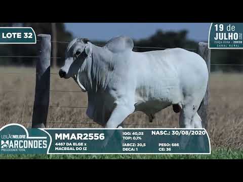 LOTE 32   MMAR 2556