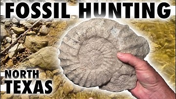 Our Last FOSSIL HUNT of the SUMMER 2025 - AMMONITE Fossils Adventure in the creeks of NORTH TEXAS
