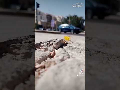 عليهم صابر والصبر طول