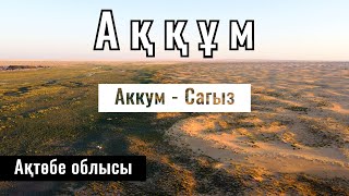 Пески Аккум. Алтай батыр ауылы. Актюбинская область, Казахстан, 2022 год.