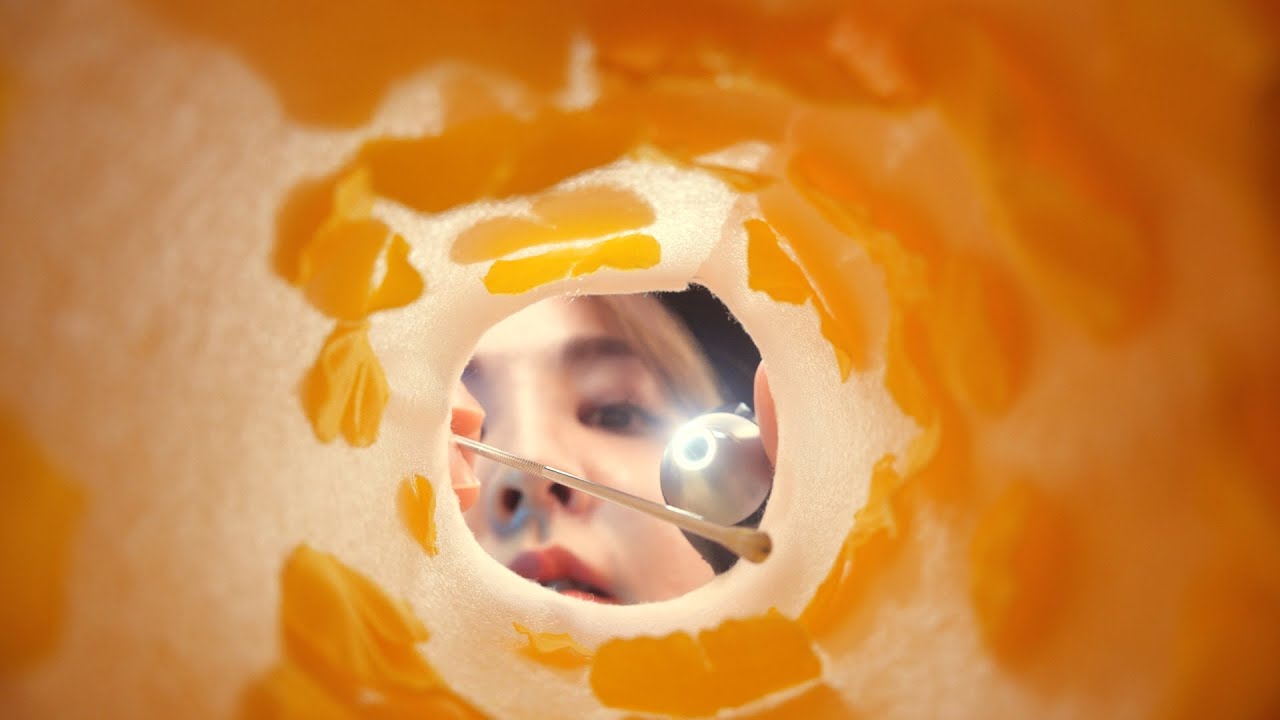 바스락 영지버섯 귀청소 상황극 ASMR (Sub✔)