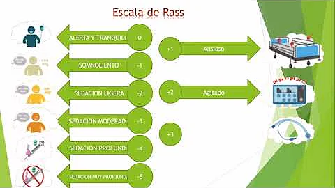 ¿Cuántas escalas de sedación existen?