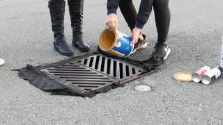Proper paint disposal - AHS Green Club PSA