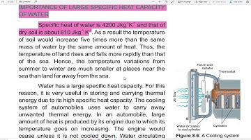 Importance of Large Specific Heat Capacity of water in nature {PHY 9th CH#8]
