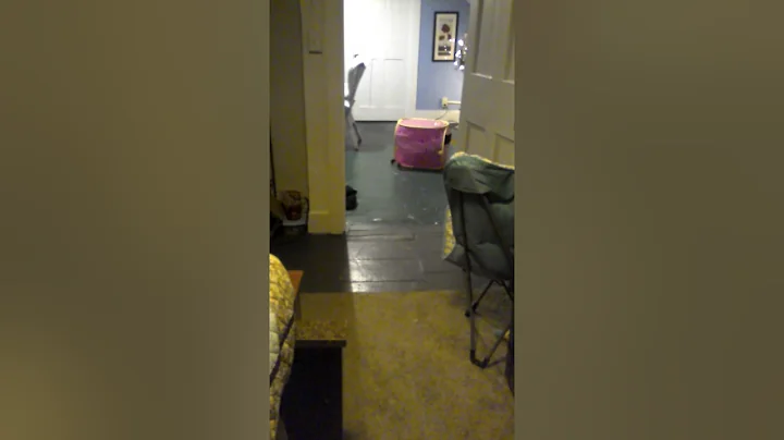 He thinks he is sneaky