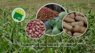 Kufandada and Bindangombe: CRIDF's Livelihoods Projects (Part 4)