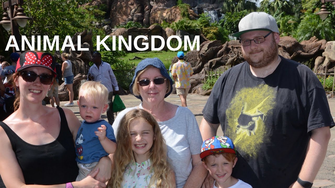 Sheepdog Says 142 Animal Kingdom Filming YouTube