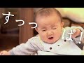 【離乳食】震えが止まらない！？みかんを食べた時の反応が可愛すぎる0歳児