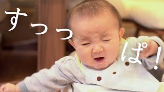 【離乳食】震えが止まらないみかんを食べた時の反応が可愛すぎる0歳児