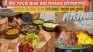 Preparando um almoço com alimentos orgânicos no fogão a lenha | bolo de maracujá | silagem pronta