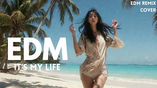 It's My Life 🎧 EDM Popular Songs | EDM Relax | Soft Beats | Focus / Study / Relax Playlist
