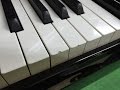 【楽器のお手入れ学入門！】ピアノの鍵盤張替え修理ってこんな感じでやるんですよ〜｜ 三田市・神戸市北区 音楽教室・楽器店 平瀬楽器