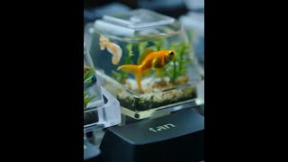 Satisfying Keyboard ASMR creation using AI model from @SeaArt.AI_Official #SeaArt #aiart #aivideo #
