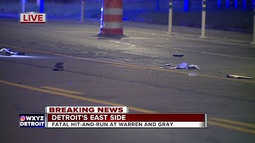 Man killed in hit and run on Detroit
