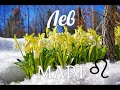 ♌ЛЕВ✨МАРТ 2021/Таро-прогноз/Таро-Гороскоп Лев/Taro_Horoscope Leo/Spring 2021.