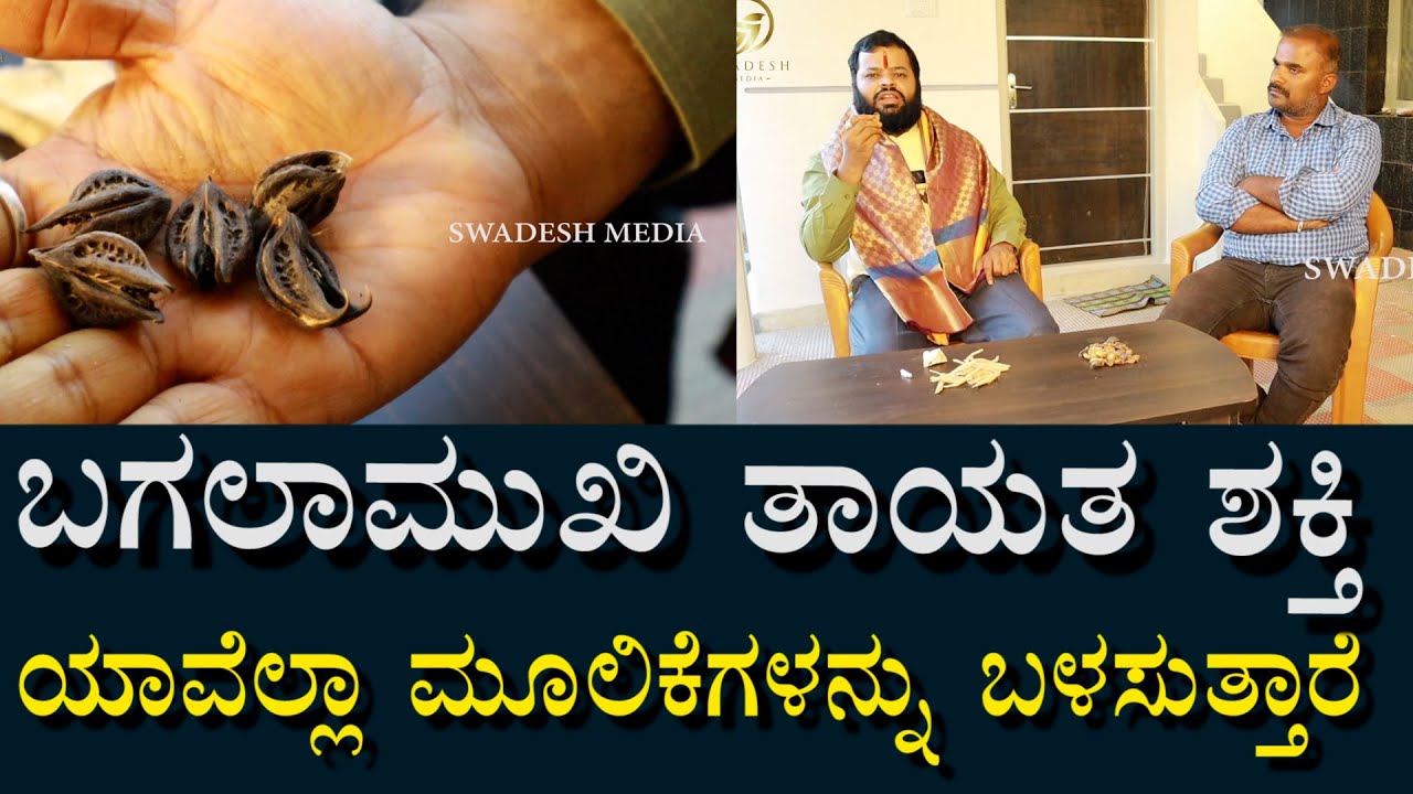 ಬಗಳಮುಖಿ ತಾಯತ ಶಕ್ತಿ | ಯಾವೆಲ್ಲ ಮೂಲಿಕೆಗಳನ್ನು ಬಳಸಿರುತ್ತಾರೆ?
