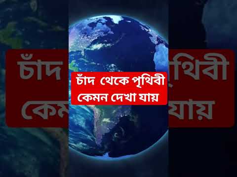 ভিডিও: আপনি কি চাঁদের পর্যায় সম্পর্কে তথ্য জানেন?