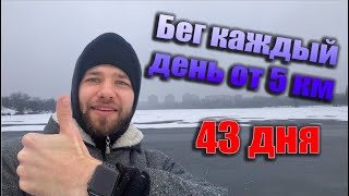 43 дня, бегаю каждый день от 5 километров. Мой вызов на 2020 год