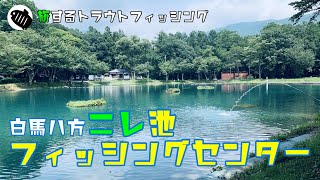 【エリアトラウト】旅するエリアトラウトフィッシング　白馬八方ニレ池フィッシングセンター