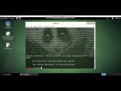 Kali Linux Doss Attack Slowloris