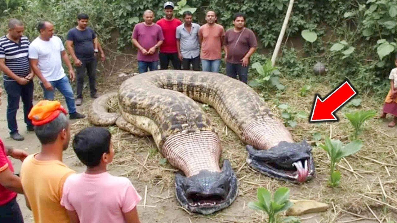 Scary Jungle Discoveries That Can't Be Explained