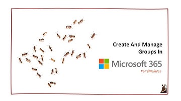 Create And Manage Groups in Microsoft 365 For Business