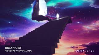 Brian Cid - Observe (Original Mix)