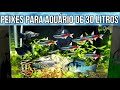 Peixes para Aquário de 30 litros ou mais (Sugestão)