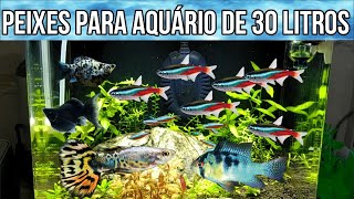 Peixes para Aquário de 30 litros ou mais (Sugestão)