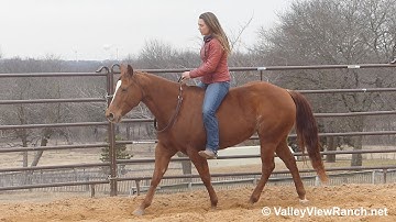 Sassy In The Sand - riding bareback and bridleless! - ValleyViewRanch.net