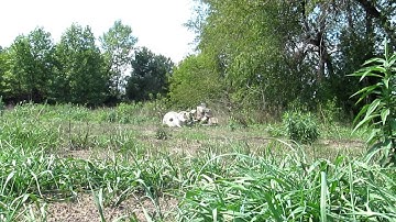 Huge Explosion 4lbs Shockwave Exploding Targets 8-25-12