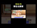 野生化ネコトモ #shorts