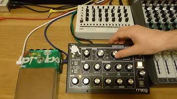 MFB Tanzmaus, Moog Minitaur & Zvex Fuzz Probe