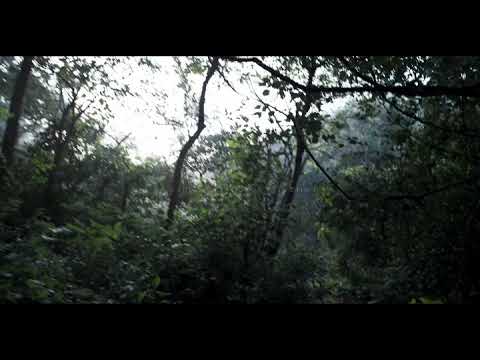 Collateral Damage - Teaser 2