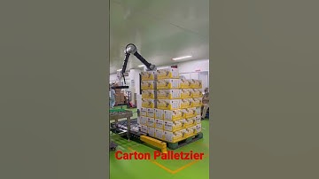 Carton Palletzier, Palletizing Automation