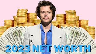 Celebrity Harry Style's 2023 Net Worth Profile
