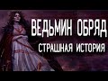 СТРАШНЫЕ ИСТОРИИ НА НОЧЬ / СТРАШНЫЕ ИСТОРИИ ПРО ВЕДЬМ / СТРАШНЫЕ ИСТОРИИ ПРО ДЕРЕВНЮ / ЛЕС