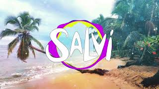 Danza Kuduro (Salvi Punta Remix) Resimi