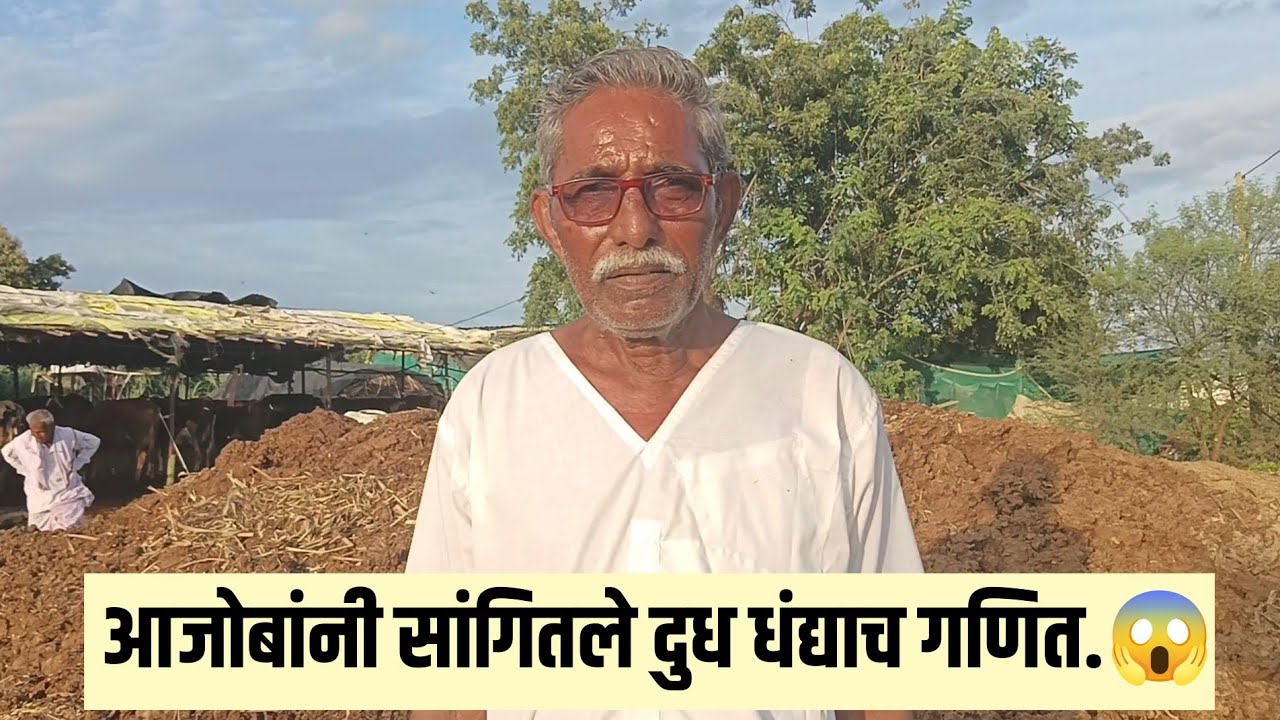 गावात सुरु केला दुग्धव्यवसाय, दररोज 200 लि‌. दुध महिन्याला 1 लाख नफा 😱| dudh vyavsay | dairy farming