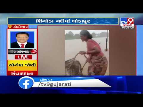 Gir Somnath: Bike rider swept away in flowing waters of Shinghoda river, rescued by villagers | TV9