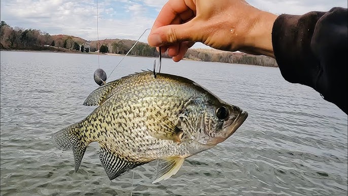 UNUSUAL SECRET Crappie Fishing Lure Catches LOADS Of Fish!!! (A