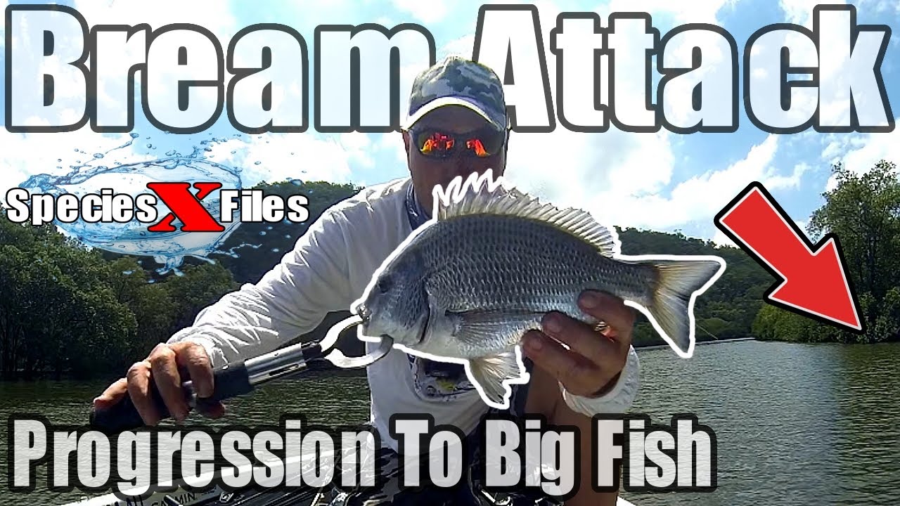 Check This Small To Big Fish Progression & The Lures✔️