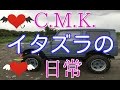 C.M.K.の日常 [イタズラ・ドッキリ]