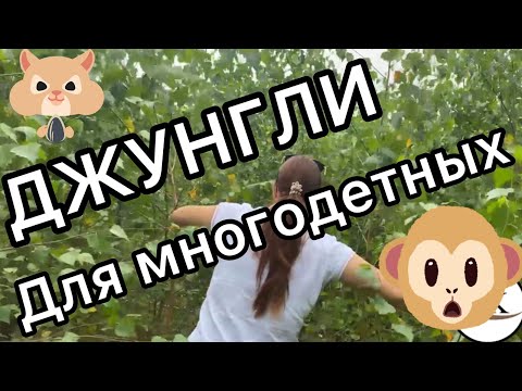 Бесплатные участки для многодетных в джунглях