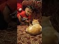 #BabyAndCat #CuteBaby #CatLovers #Heartwarming #Shorts #SweetMoments